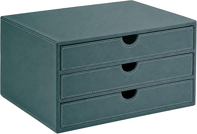UnionBasic Leather Desktop Drawer Organizer, File Cabinet Magazine Document by UnionBasic
