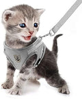 FEimaX Dog Harness and Leash Set by FEimaX