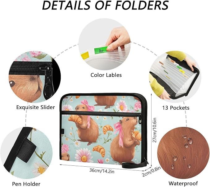 Expanding File Folder Bow Capybara Accordion File Organizer 13 Pockets Document - Image 4