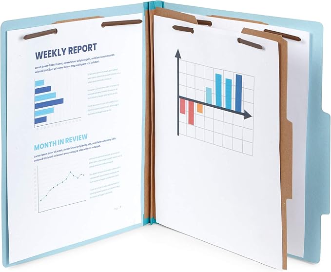 10 Blue Classification Folders - Image 5