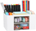 Desk Organizer with 2 Drawer, Plastic Desktop Pen Pencil Card Holder Storage Box by LETURE