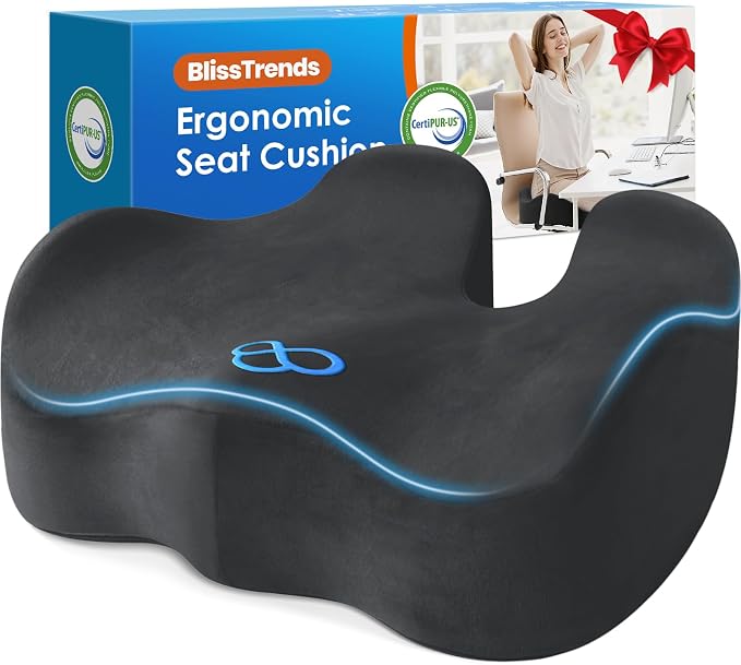 BlissTrends Extra Thick Seat Cushion by BlissTrends
