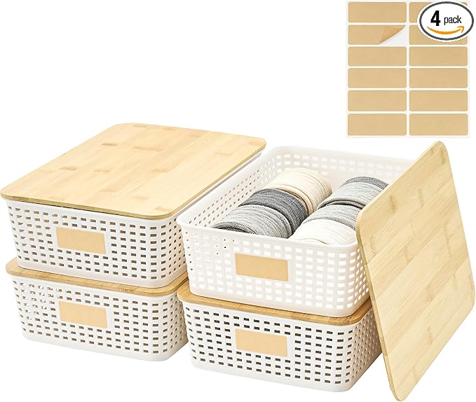 Bagnizer 4 Pack Plastic Storage Bins by Bagnizer
