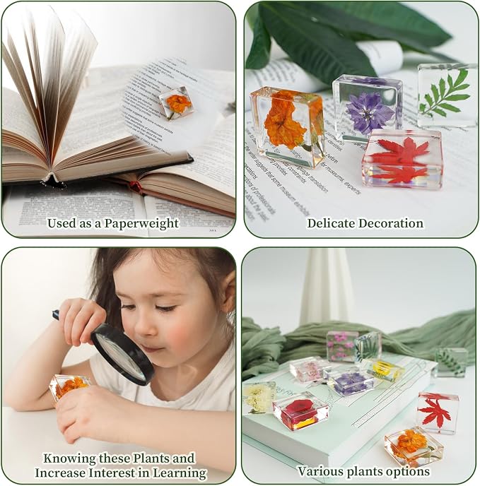 10PCS Dried Flower Paperweight Pressed Flower Paper Weight Real Resin Crafts - Image 6