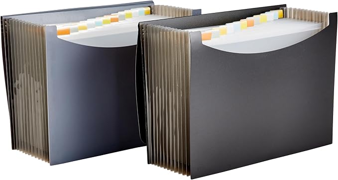 Amazon Basics Expanding Organizer File Folder by AmazonBasics