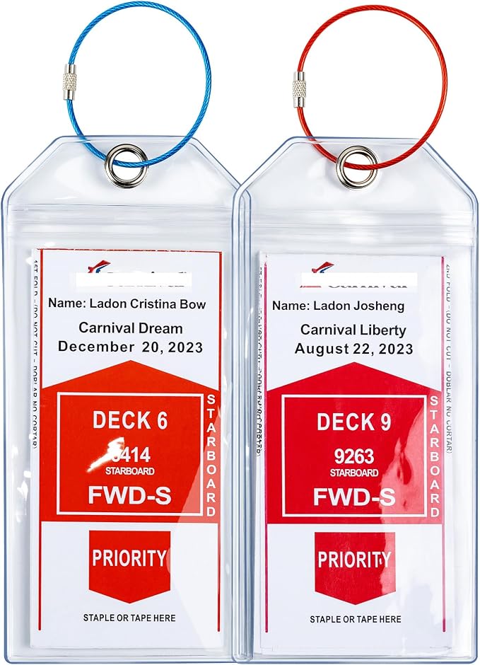 Carnival, NCL & MSC Cruise Ship Essentials by DiscoverJoyandFreedom