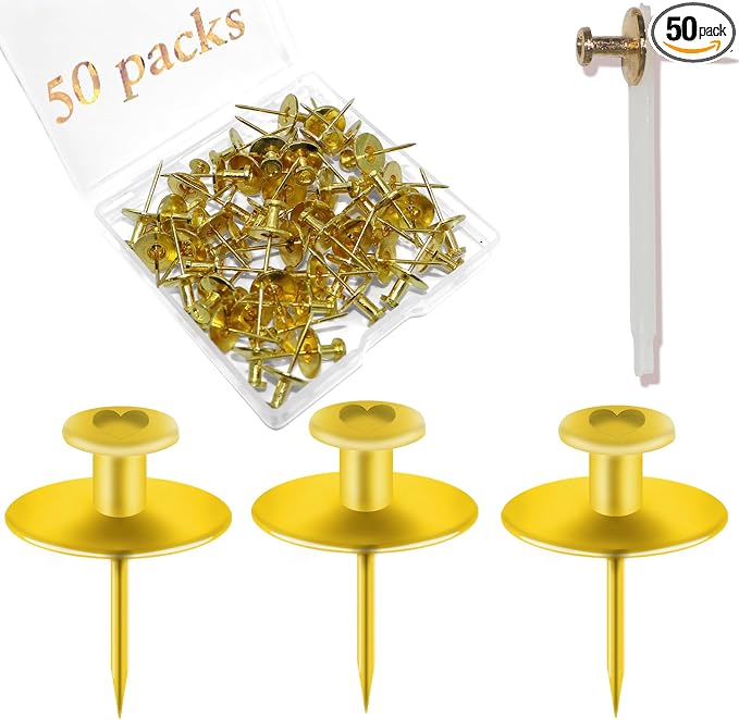 50 PCS Picture Hangers Hooks for Drywall, Decorative Small Pins for Cork Board by Hoaisun