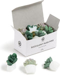 U Brands Succulent Push Pins Set, Office Supplies, Three Assorted Styles by UBrands
