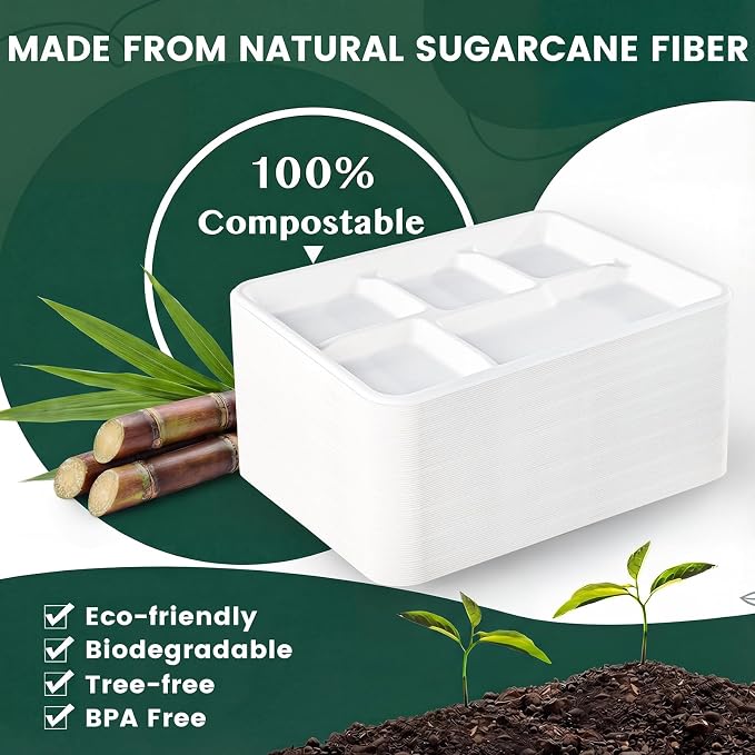 Tinybee 100% Compostable 5 Compartment Paper Plates 12.5 * 8.6 Inch Large Heavy - Image 4