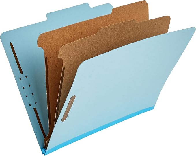 Amazon Basics Classification Folder by AmazonBasics