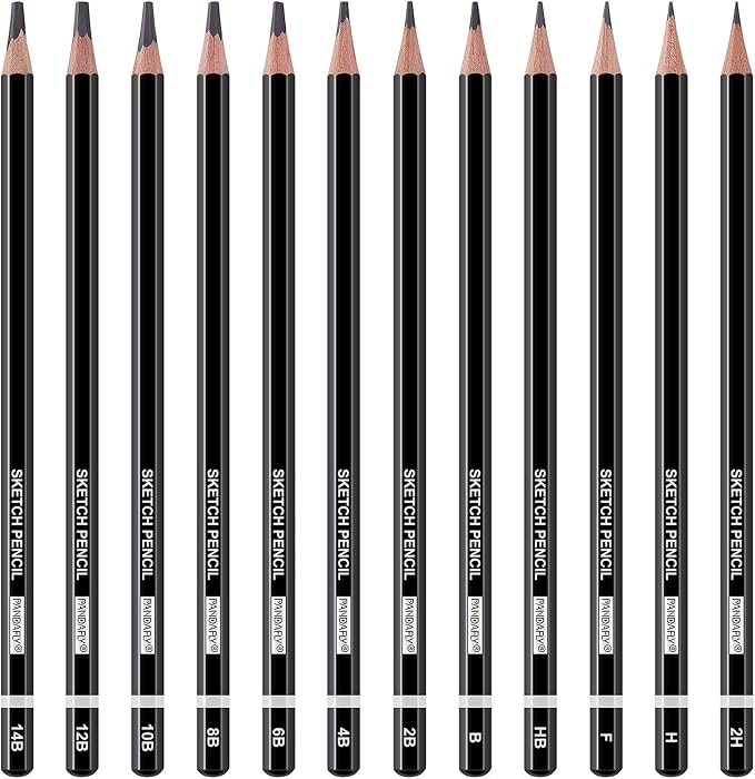 PANDAFLY 12 Pieces Professional Drawing Sketching Pencil Set, Graphite Pencils - Image 2