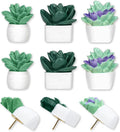 9 Pieces Push Pins Succulent Plants Floret Thumbtacks by krastmon