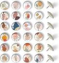 24 Glass Decorative Push Pins, Cute Bulletin Board Pins, Cute Thumbtacks by KEYDUACU
