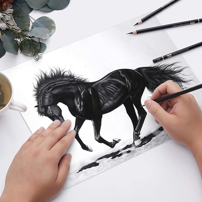 MARKART Professional Charcoal Pencils Drawing Set - Image 5