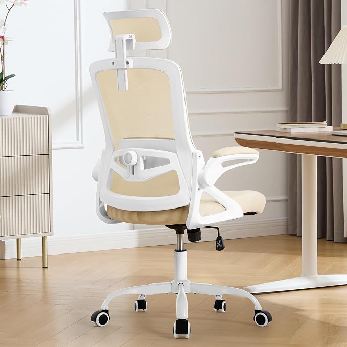 Fizzin Ergonomic Office Chair, 400 LBS Computer Chairs by Unknown