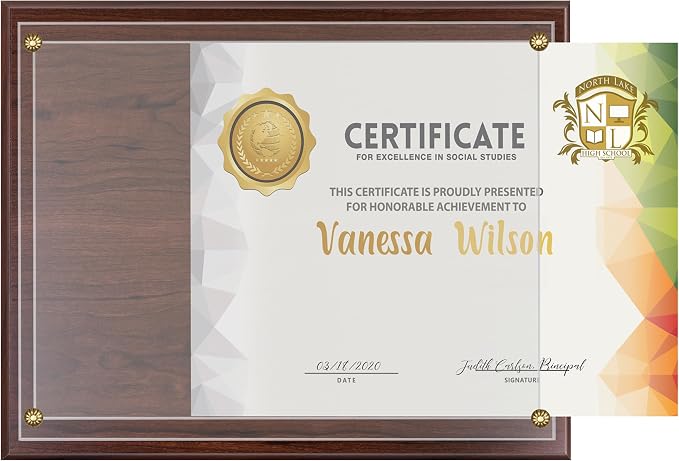 SHOP AWARDS AND GIFTS 8.5 x 11 Certificate Frame Holder, Slide in Wall Plaque by ShopAwardsandGifts