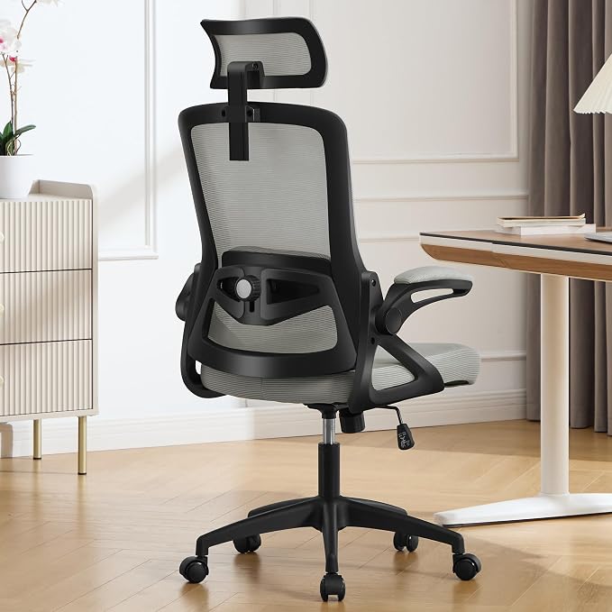 Fizzin Ergonomic Office Chair, 400 LBS Computer Chairs by Unknown