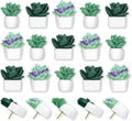 20 Pieces Push Pins Succulent Plants Floret Thumbtacks by krastmon