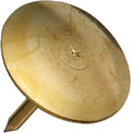 Charles Leonard Thumb Tacks, Brass Plated 3/8 Inch Solid Head by CharlesLeonard