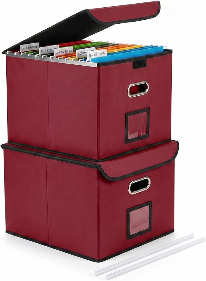 File Organizer Box with Lid, Large Hanging File Folder Organizer with Plastic by CADONO
