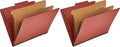 Amazon Basics Classification Folder by AmazonBasics