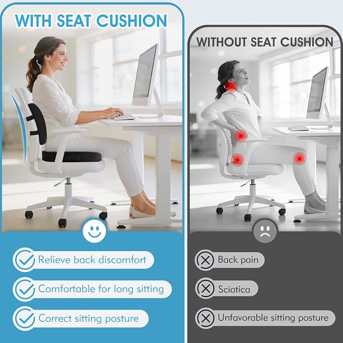 CushZone Seat Cushion, Lumbar Support Pillow - Image 4
