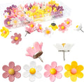 40PCS Flower Push Pins Cute Decorative Thumb Tacks by Unknown