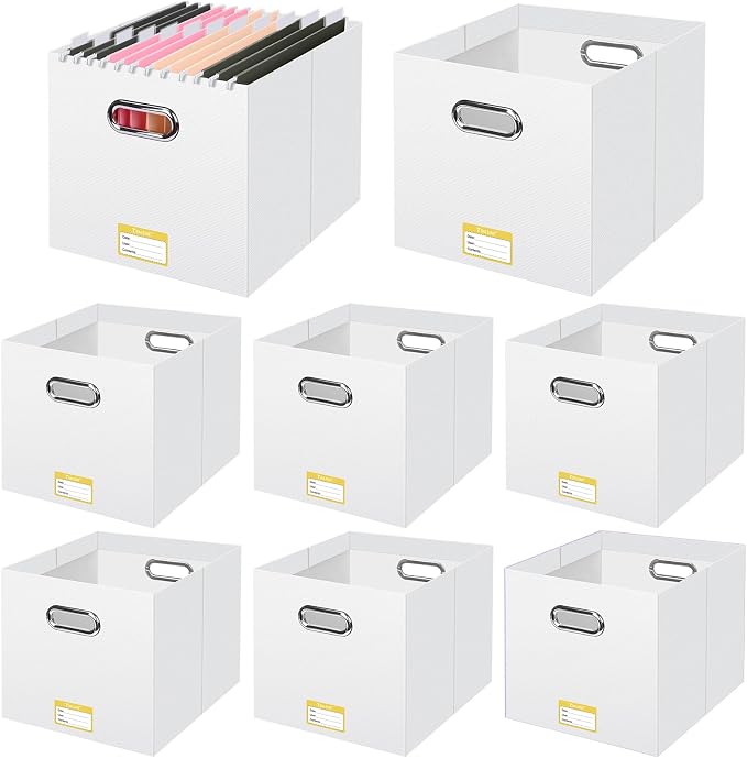 BALEINE File Organizer Box, Cardboard File Folder Organizer by BALEINE