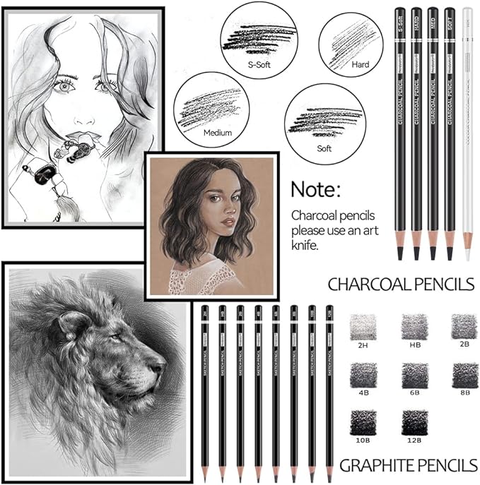 PANDAFLY Drawing Sketching Pencil Set, 22 Piece Pro Art Pencil Kit - Image 3