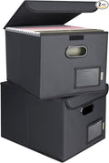 BALEINE File Organizer Box by BALEINE