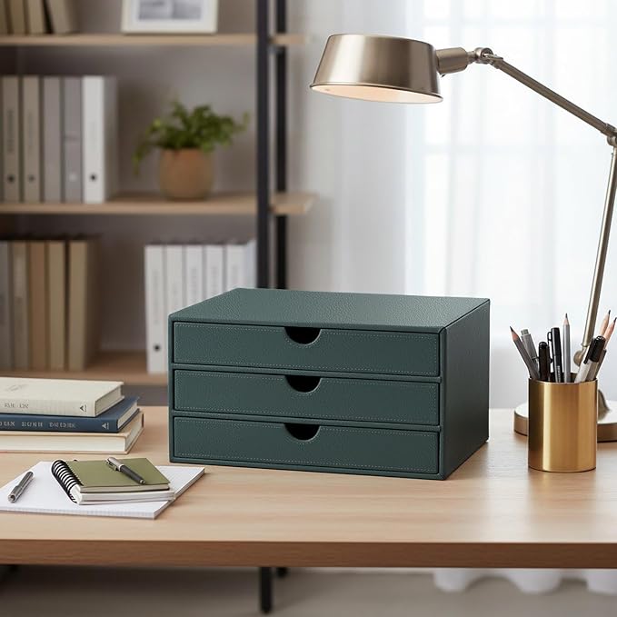 UnionBasic Leather Desktop Drawer Organizer, File Cabinet Magazine Document - Image 3