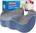 BlissTrends Extra Thick Seat Cushion by BlissTrends
