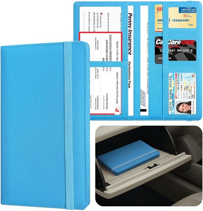LINTRU 6-Pocket Car Registration & Insurance Card Holder by LINTRU