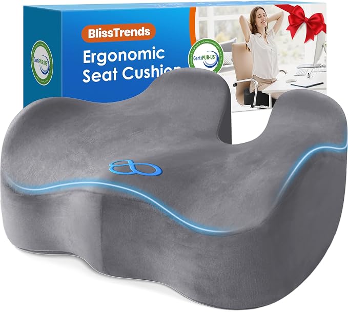 BlissTrends Extra Thick Seat Cushion by BlissTrends