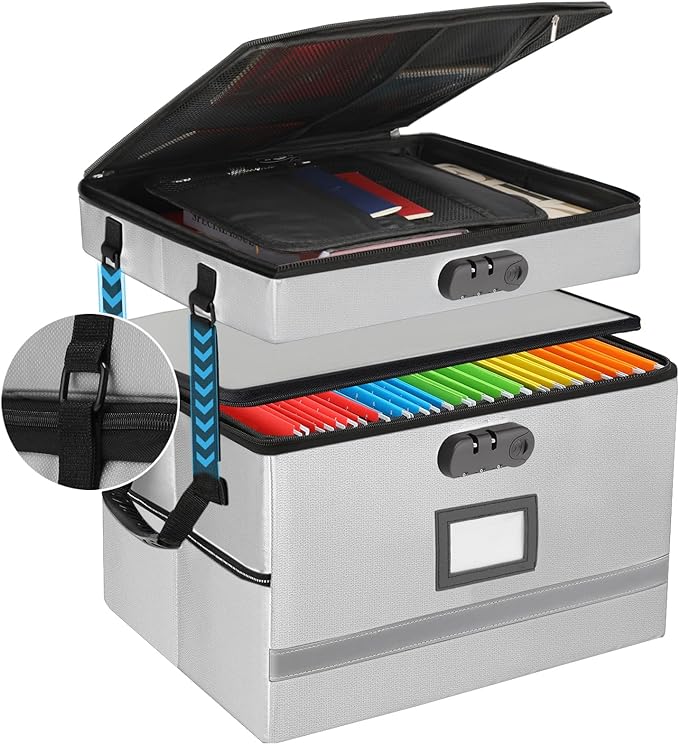 EXLIFBAG 2 Layer File Box with Lock, Portable Document Organizer Box with Handle by EXLIFBAG