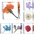 6Pcs Pressed Flower Paper Weights, Real Flower Resin Crafts, Pattern Weights by Unknown