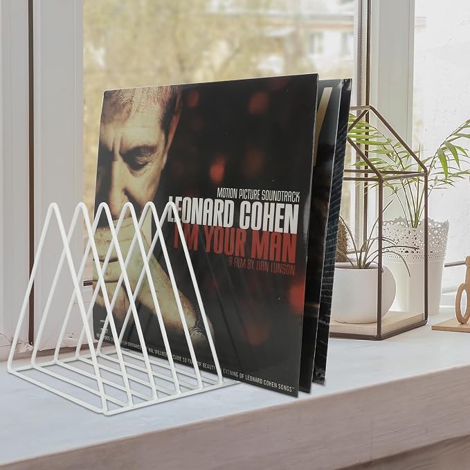 EASEPRES Vinyl Record Holder Storage, 9 Slot Metal Magazine Book Album Display - Image 5