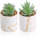 Der Rose Set of 2 Succulents Plants Artificial Mini Fake Succulents Plants by DerRose