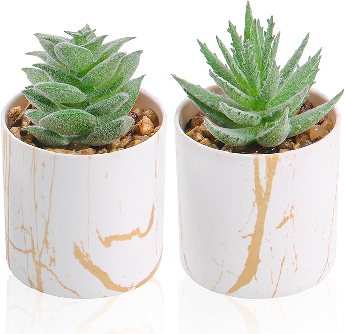 Der Rose Set of 2 Succulents Plants Artificial Mini Fake Succulents Plants by DerRose