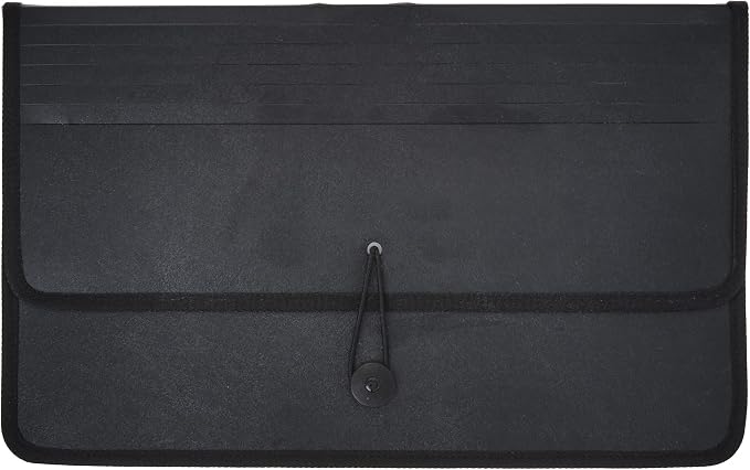 LION Expand-N-File Poly Expanding Wallet | Legal, 2-1/2 Inches gusset, 1 Wallet - Image 2