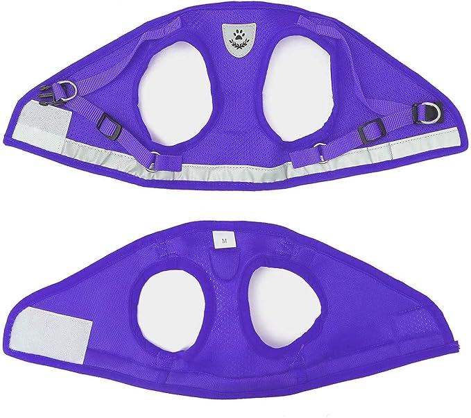 FEimaX Dog Harness and Leash Set - Image 6