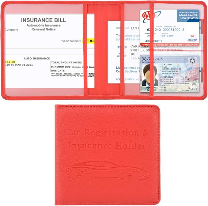 Cacturism Car Registration and Insurance Holder, Vehicle Glove Box Car by CACTURISM