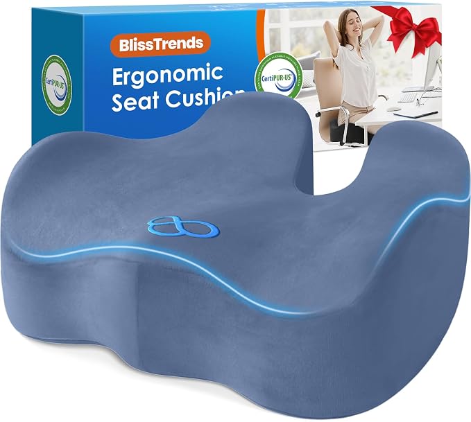 BlissTrends Extra Thick Seat Cushion by BlissTrends