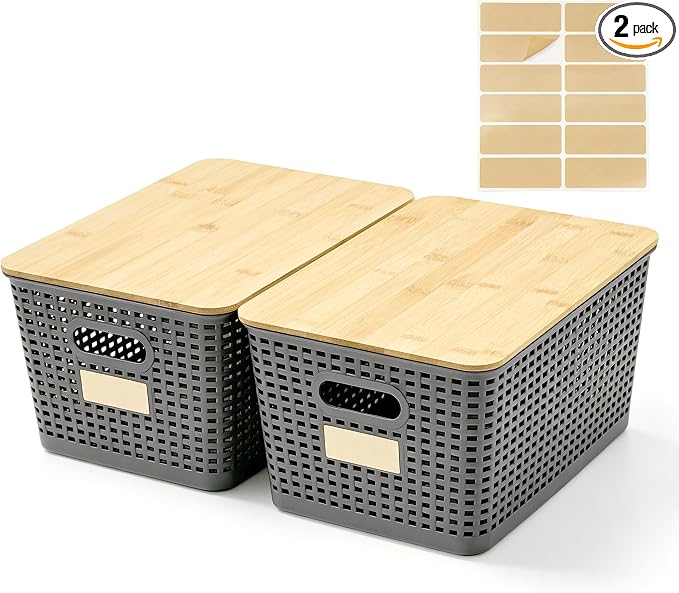 Bagnizer 2 Pack Tall Plastic Storage Bins by Bagnizer