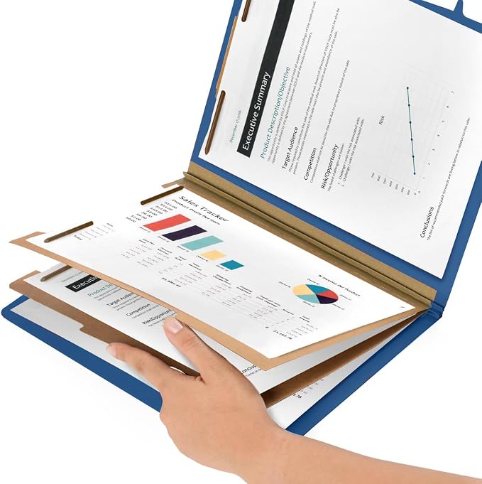 10 Blue Classification Folders - Image 6