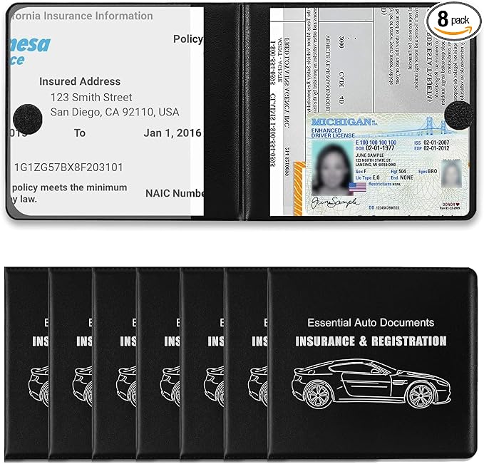 REGUICORP Registration and Holder, Auto Essential Holder, Interior Accessories by REGUICORP