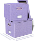 Oterri 2 Pack File Storage Organizer, Filing Box, Portable File Box by Oterri