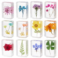 12 Pcs Real Pressed Flower Resin Paperweights by CuriositiesfromtheNaturalWorld