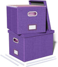 Oterri 2 Pack File Storage Organizer, Filing Box, Portable File Box by Oterri