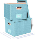 Oterri 2 Pack File Storage Organizer Box, Filing Box, Portable File Box by Oterri